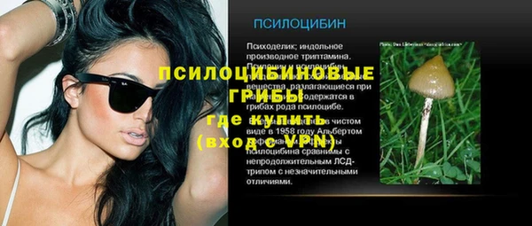 гашик Баксан